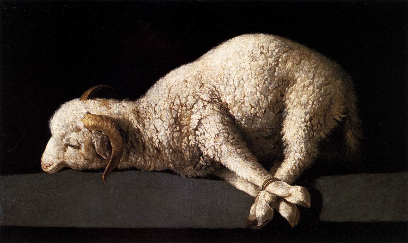 Image result for lamb on altar