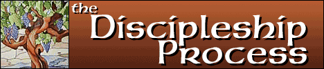 The Discipleship Process: Biblical Models for Spiritual Formation, by Ralph F. Wilson. Bible study.