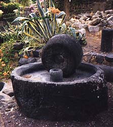 Millstone for producing olive oil in Capernaum.