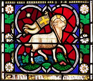 Lamb of God, stained glass St Andrew, Whittlesey, Cambridgeshire, England.